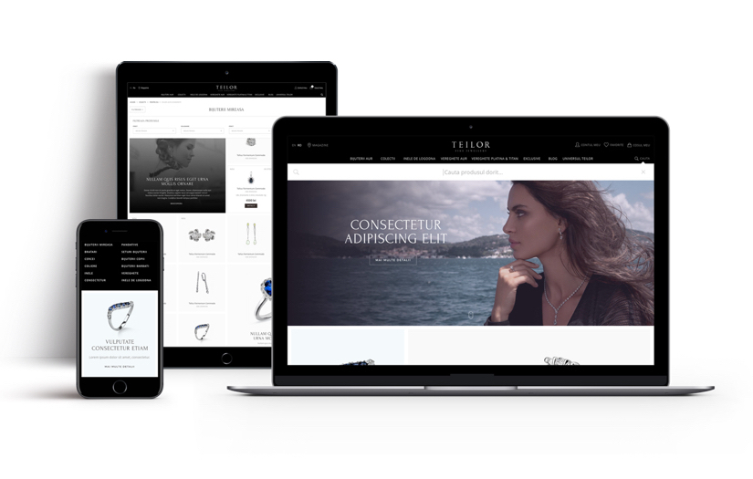 Upgrading from a limiting proprietary platform to Magento 2 screenshot 2